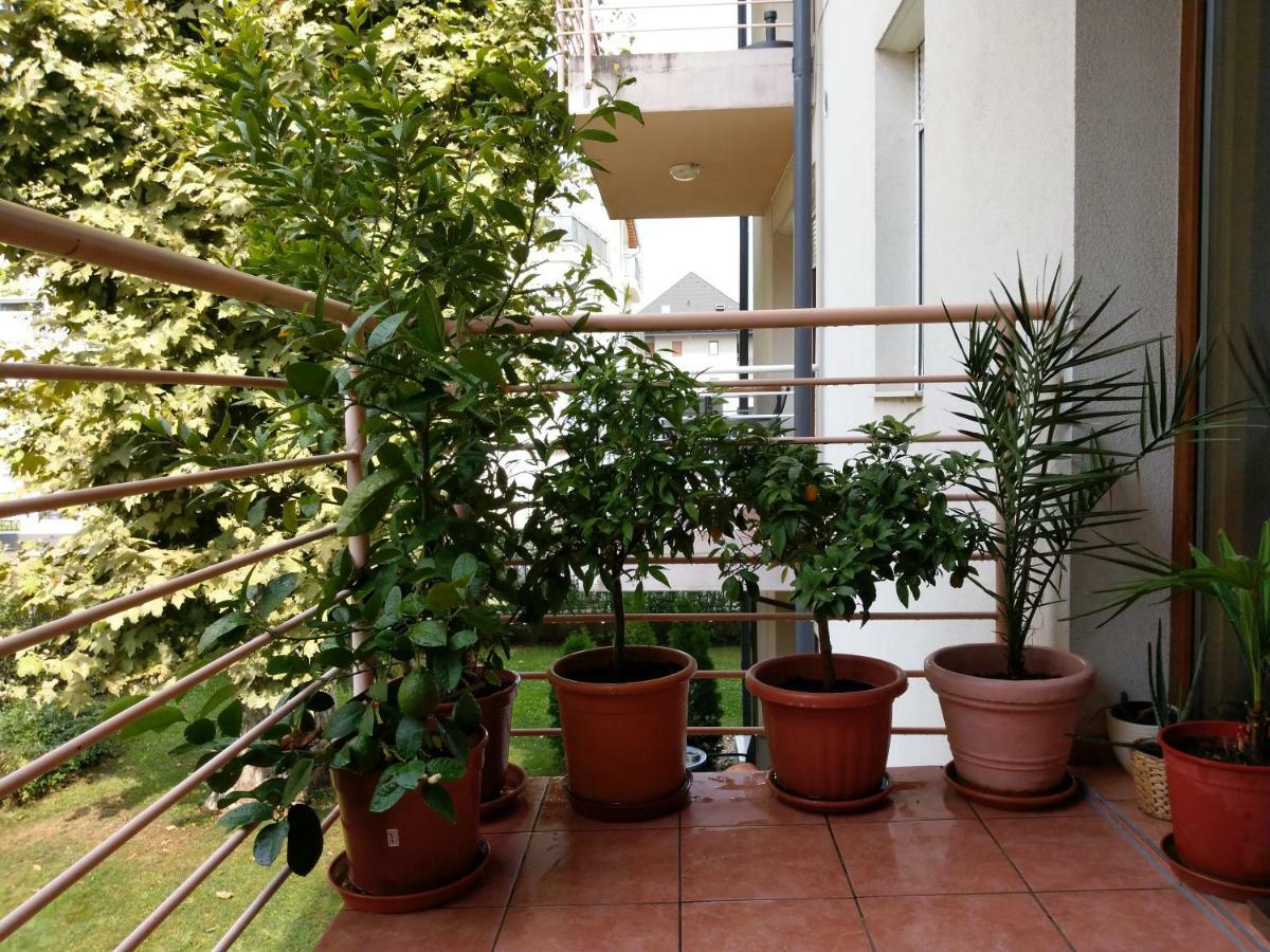 Mandarin Wellness Apartman شيوفوك المظهر الخارجي الصورة